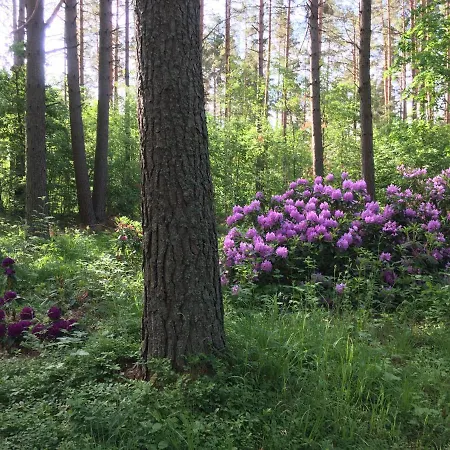 Voosemetsa Turismitalu Voose (Laanemaa)