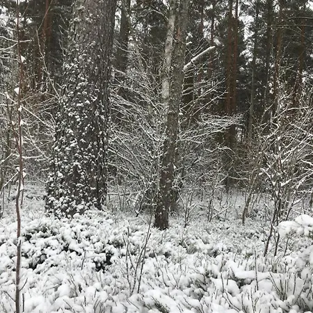 Pensionat Voosemetsa Turismitalu *