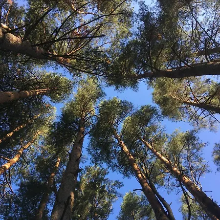 Voosemetsa Turismitalu Pensionat *