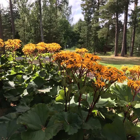 게스트하우스 Voosemetsa Turismitalu *