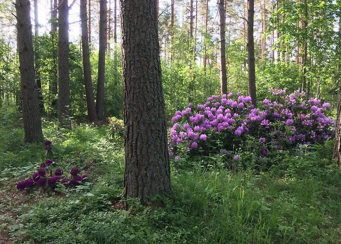 Voosemetsa Turismitalu Voose (Laanemaa)