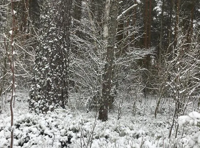 Pensión Voosemetsa Turismitalu *