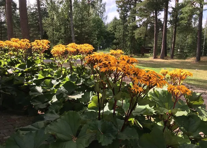 게스트하우스 Voosemetsa Turismitalu *